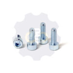 4 vienetai – M6 x 16 Zn Varžtas, cilindrine galva, cinkuotas