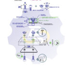 2 vienetai – M6 x 20 Zn Varžtas, cilindrine galva + 2 vienetai – NEM6x9 Įkalama veržlė