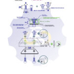 2 vienetai – M6 x 20 Zn Varžtas, cilindrine galva + 2 vienetai – NTM6 x 10 mm Zn T-formos veržlė