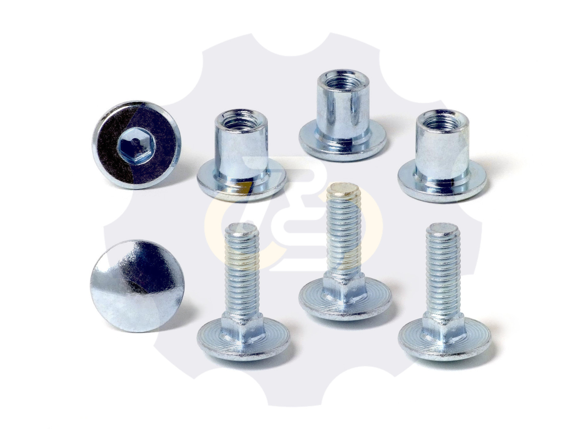 4 vienetai – M6 x 20 Zn5 Varžtas, kupolo galva + 4 vienetai – NTM6 x 10 mm Zn T-formos veržlė