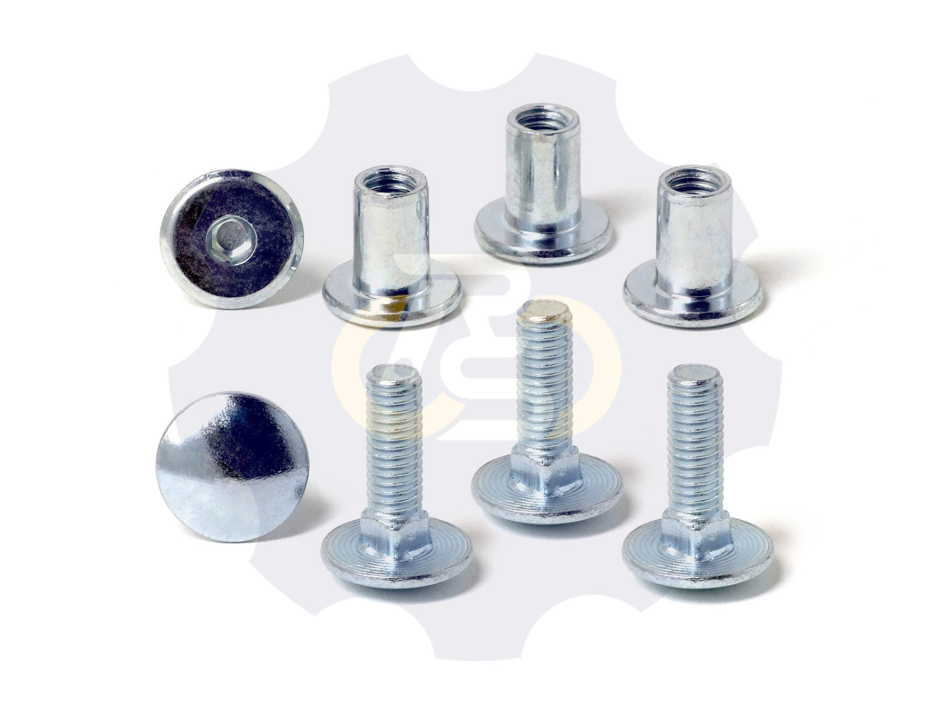 4 vienetai – M6 x 20 Zn5 Varžtas, kupolo galva + 4 vienetai – NTM6 x 12 Zn T-formos veržlė
