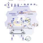 4 vienetai – M6 x 20 Zn Varžtas įleidžiama galva + 4 vienetai – N6S Veržlė