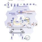 4 vienetai – M6 x 20 Zn Varžtas įleidžiama galva + 4 vienetai – N6S Veržlė