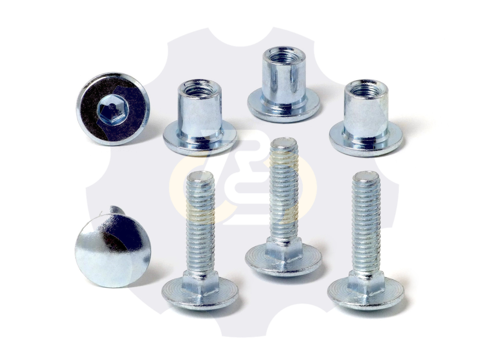 4 vienetai – M6 x 25 Zn5 Varžtas, kupolo galva + 4 vienetai – NTM6 x 10 mm Zn T-formos veržlė