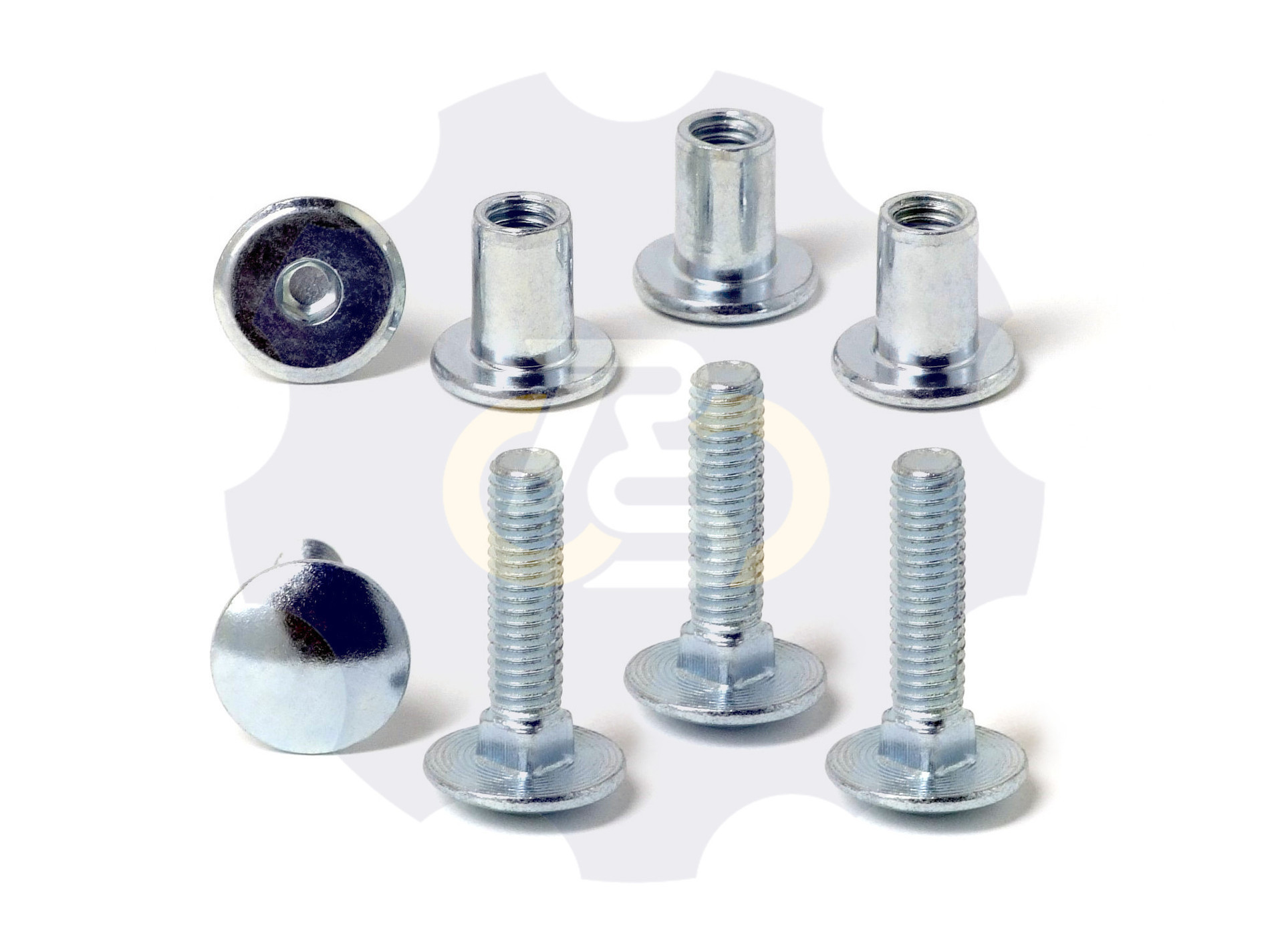 4 vienetai – M6 x 25 Zn5 Varžtas, kupolo galva + 4 vienetai – NTM6 x 12 Zn T-formos veržlė