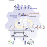 4 vienetai – M8x16 Zn Varžtas cilindrine galva, cinkuotas