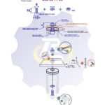 M8 x 16 Zn Varžtas cilindrine galva + spyruoklinė poveržlė + N8S Veržlė