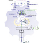 M8 x 16 Zn Varžtas cilindrine galva + spyruoklinė poveržlė + NT M8 x 16 Zn T-formos veržlė