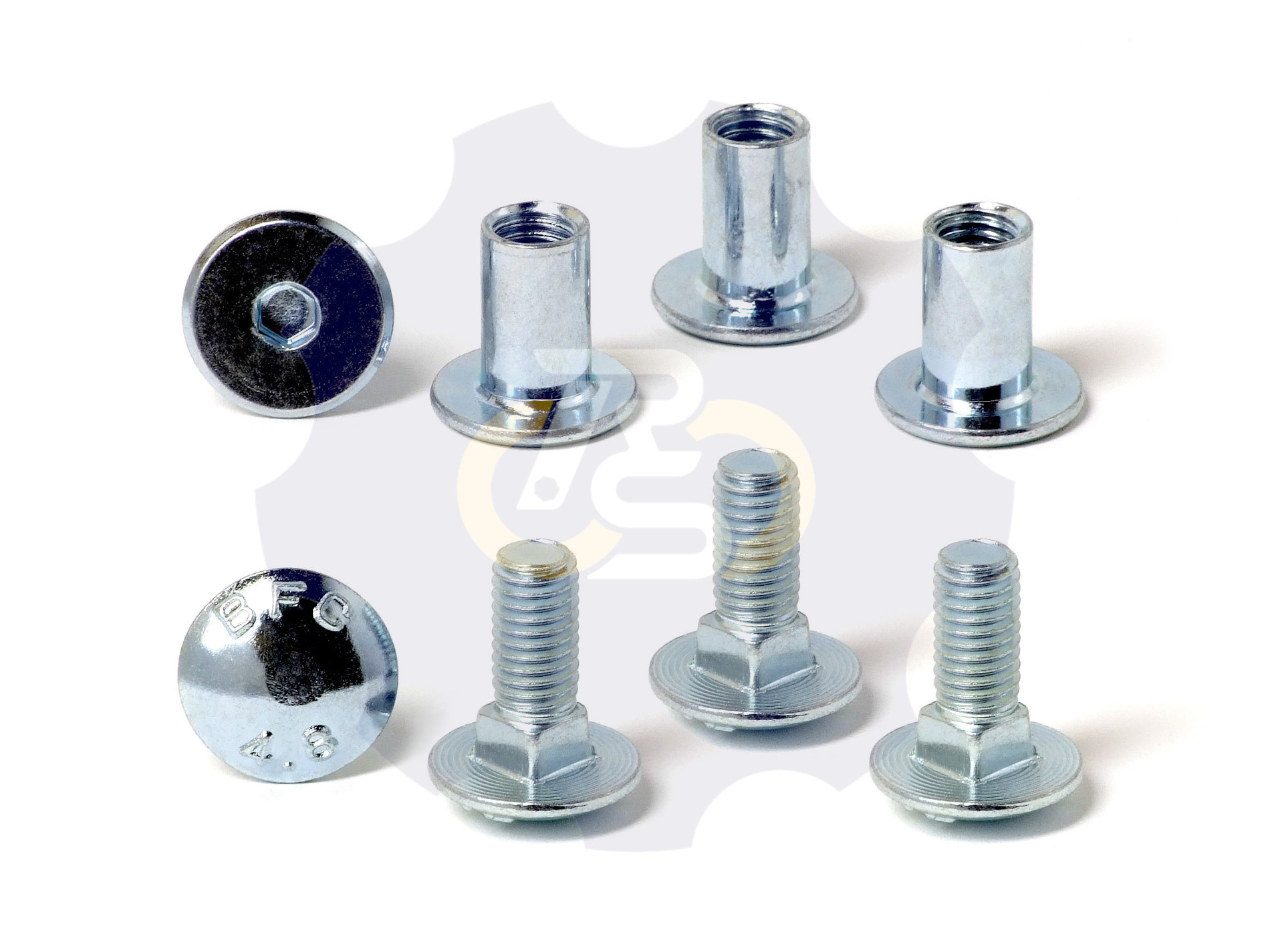 4 vienetai – M8 x 20 Zn5 Varžtas, kupolo galva + 4 vienetai – NT M8 x 16 Zn T-formos veržlė