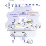 4 vienetai – M8 x 25 Zn Varžtas įleidžiama galva + 4 vienetai – N8S Veržlė