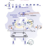4 vienetai – M8x30 Zn Varžtas cilindrine galva + 4 vienetai – N8S Veržlė