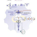 M8 x 30 Zn Varžtas cilindrine galva + spyruoklinė poveržlė + poveržlė + kiaurymės sumažinimo įvorė