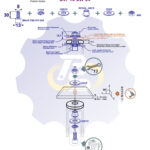 M8 x 30 Zn Varžtas cilindrine galva + spyruoklinė poveržlė + poveržlė + kiaurymės sumažinimo įvorė + O24/8 poveržlė + N8S Veržlė