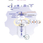 M8 x 35 Zn Varžtas cilindrine galva + spyruoklinė poveržlė + poveržlė + kiaurymės sumažinimo įvorė
