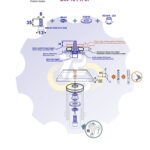 M8 x 35 Zn Varžtas cilindrine galva + spyruoklinė poveržlė + poveržlė + kiaurymės sumažinimo įvorė