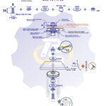 M8 x 35 Zn Varžtas cilindrine galva + spyruoklinė poveržlė + poveržlė + kiaurymės sumažinimo įvorė + O24/8 poveržlė + N8S Veržlė