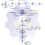 M8 x 35 Zn Varžtas cilindrine galva + spyruoklinė poveržlė + poveržlė + kiaurymės sumažinimo įvorė + O24/8 poveržlė + N8S Veržlė