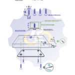 4 vienetai – MS 3.5 x 18 Sw Medsraigtis, juodas