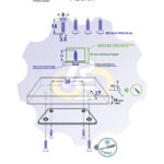 4 vienetai – MS 3.5 x 18 Sw Medsraigtis, juodas