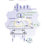 4 vienetai – MS 3.5 x 18 Sw Medsraigtis, juodas