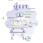 4 vienetai – MS 4.2 x 16 Sw Savisriegis, juodas