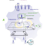 4 vienetai – MS 4.2 x 16 Sw Savisriegis, juodas