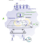 4 vienetai – MS 4.2 x 19 Sw Savisriegis, juodas