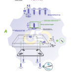 4 vienetai – MS 4.2 x 19 Sw Savisriegis, juodas