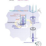 Q22-25 mm Išsiplečiantis tvirtinimas kvadratiniam vamzdžiui