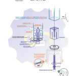 Q28-32 mm Išsiplečiantis tvirtinimas kvadratiniam vamzdžiui