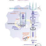 Q36-40 mm Išsiplečiantis tvirtinimas kvadratiniam vamzdžiui