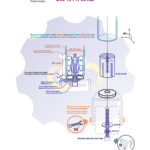 R28-32 mm Išsiplečiantis tvirtinimas apvaliam vamzdžiui