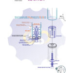R28-32 mm Išsiplečiantis tvirtinimas apvaliam vamzdžiui
