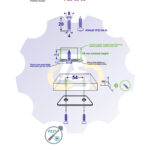 2 vienetai – WS 4 x 20 Zn Medsraigtis, cinkuotas