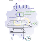 4 vienetai – WS 4 x 20 Zn Medsraigtis, cinkuotas