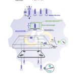4 vienetai – WS 4 x 20 Zn Medsraigtis, cinkuotas