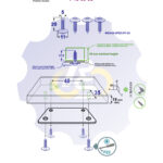 4 vienetai – WS 5 x 20 Zn Medsraigtis, cinkuotas