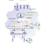 4 vienetai – WS 5 x 20 Zn Medsraigtis, cinkuotas
