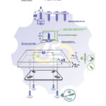 4 vienetai – WS 5 x 20 Zn Medsraigtis, cinkuotas