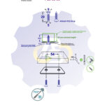 2 vienetai – WS 5 x 20 Zg Medsraigtis, cinkuotas