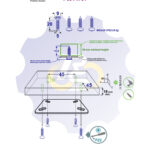4 vienetai – WS 5 x 20 Zg Medsraigtis, cinkuotas